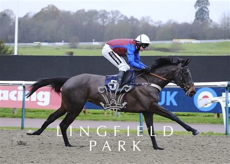 racing results at lingfield today|results for lingfield today.